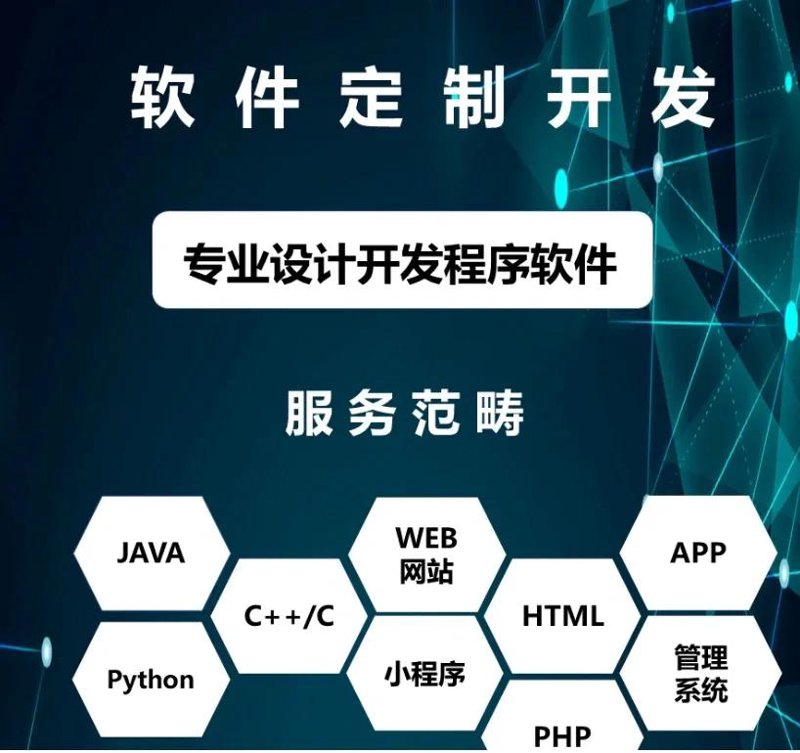 软件定制开发:企业信息化的催化剂